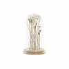 Figura Decorativa 15 x 15 x 26 cm Castanho Bloemen