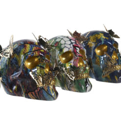 5 x 11 cm Multicolor Caveira (3 Unidades)