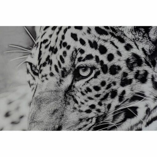 Pintura 100 x 2,5 x 100 cm Leopardo Colonial (2 Unidades) - Image 4