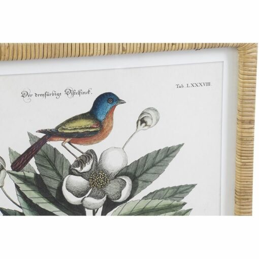 Pintura 50 x 2,5 x 65 cm Shabby Chic Plantas botânicas (4 Peças) - Image 3