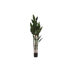 Planta Decorativa (90 x 90 x 200 cm)