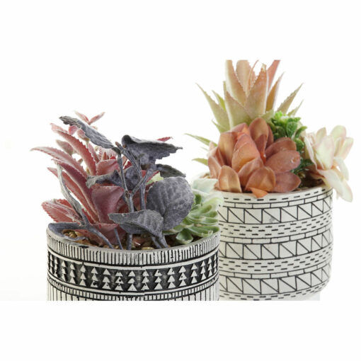 Planta Decorativa Catos Polietileno Resina Multicolor 11 x 11 x 21 cm (2 Unidades) - Image 2