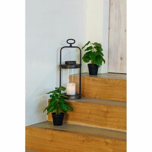 Planta Decorativa Preto Verde PVC Polipropileno 20 x 20 x 30 cm - Image 2
