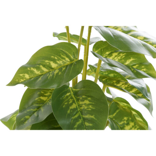 Planta Decorativa Preto Verde PVC Polipropileno 20 x 20 x 30 cm - Image 4