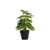 Planta Decorativa Preto Verde PVC Polipropileno 20 x 20 x 30 cm