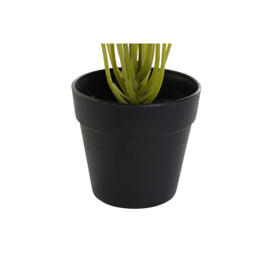 Planta Decorativa Preto Verde PVC Polipropileno 25 x 25 x 30 cm - Image 2