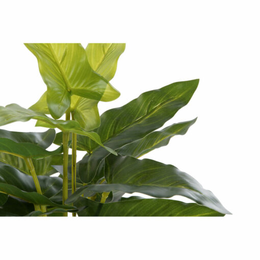 Planta Decorativa Preto Verde PVC Polipropileno 25 x 25 x 30 cm - Image 3