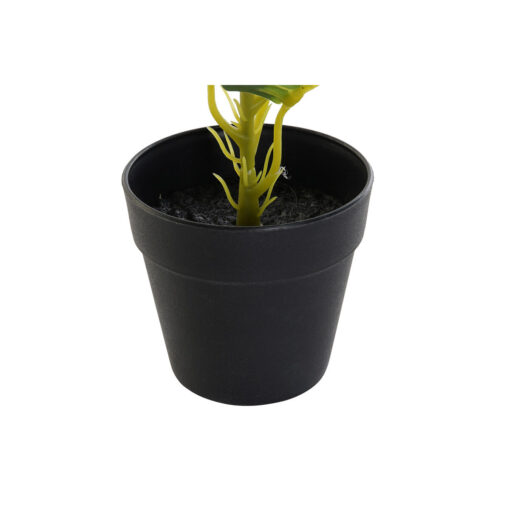 Planta Decorativa Preto Verde PVC Polipropileno 25 x 25 x 30 cm - Image 3