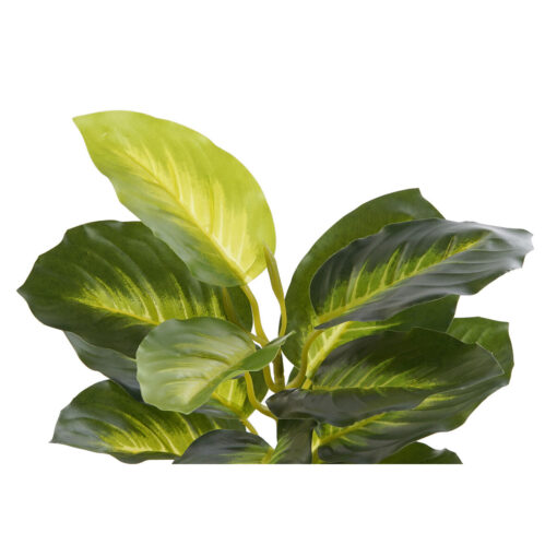 Planta Decorativa Preto Verde PVC Polipropileno 25 x 25 x 30 cm - Image 4