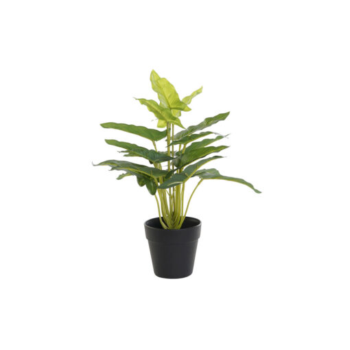 Planta Decorativa Preto Verde PVC Polipropileno 25 x 25 x 30 cm