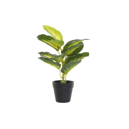 Planta Decorativa Preto Verde PVC Polipropileno 25 x 25 x 30 cm