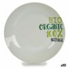 Prato de Jantar Organic Porcelana 24