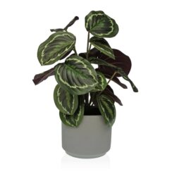 Planta Decorativa 15 x 40