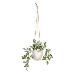 Planta Decorativa 24 x 35 x 25 cm Branco Verde PVC