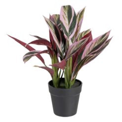 Planta Decorativa 44 x 39 x 48 cm Cor de Rosa Verde PVC