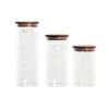 Conjunto de 3 Potes 10