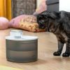 Fonte para Gatos Recarregável com Sensor Refopet InnovaGoods