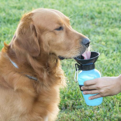 Garrafa Bebedouro de Água para Cães InnovaGoods