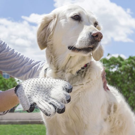 Luva para Escovar e Massajar Animais de Estimação Relpet InnovaGoods