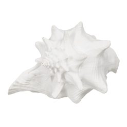 Figura Decorativa Branco Concha 21 x 19 x 13 cm