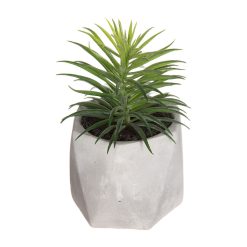 Planta Decorativa 7 x 14 cm Verde PVC