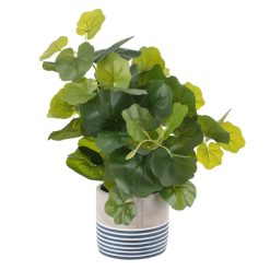 Planta Decorativa Cimento PEVA Folhas 11