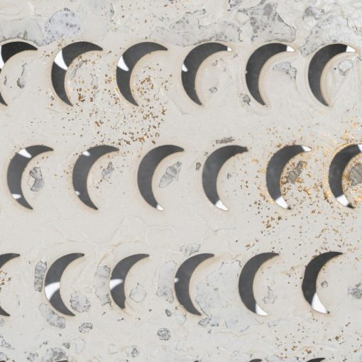 Figura Decorativa Peixe - Image 4