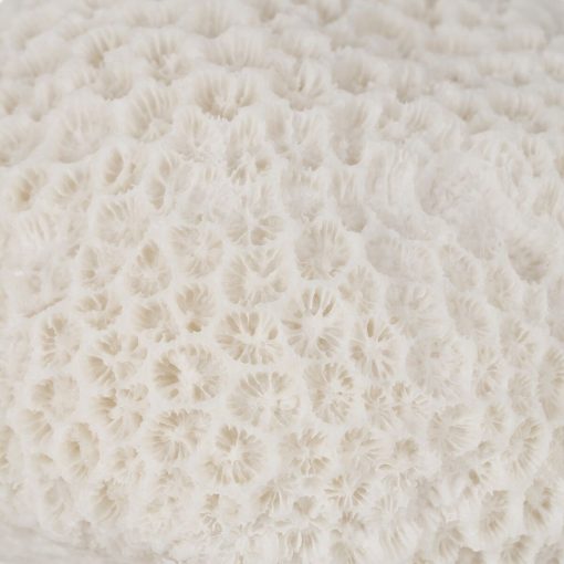 Lâmpada de mesa Branco - Image 4