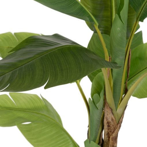 Planta Decorativa Borracha 90 X 90 X 125 CM - Image 3