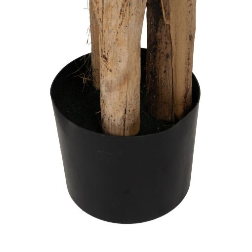 Planta Decorativa Borracha 90 X 90 X 125 CM - Image 6