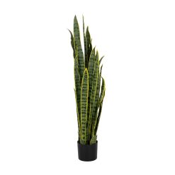 Planta Decorativa Borracha Polipropileno 20 X 20 X 115 CM