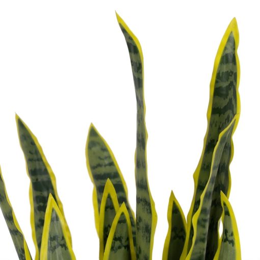 Planta Decorativa Borracha Polipropileno 20 x 20 x 80 cm - Image 2