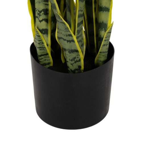 Planta Decorativa Borracha Polipropileno 20 x 20 x 80 cm - Image 4