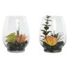 Planta Decorativa PVC Cristal 10 x 10 x 15 cm (2 Unidades)