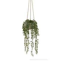 Planta Decorativa Polietileno Cimento 18 x 18 x 46 cm