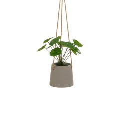 Planta Decorativa Polietileno Cimento 23 x 19 x 24 cm