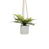 Planta Decorativa Polietileno Cimento 30 x 30 x 24 cm