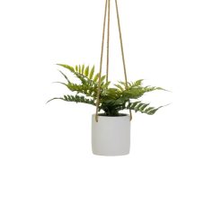 Planta Decorativa Polietileno Cimento 30 x 30 x 24 cm