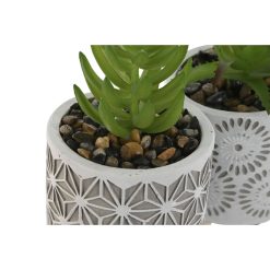 5 x 11 cm (3 Unidades)