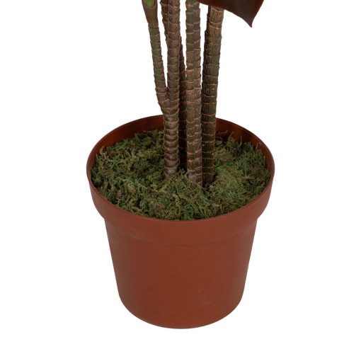 Planta Decorativa Polietileno Ferro Cimento 45 x 45 x 170 cm - Image 4