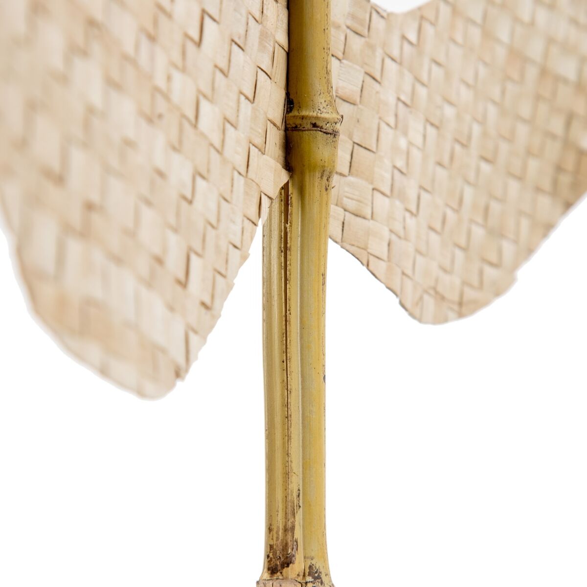 Rama Bambu Folha 43 x 1 x 200 cm - Image 6