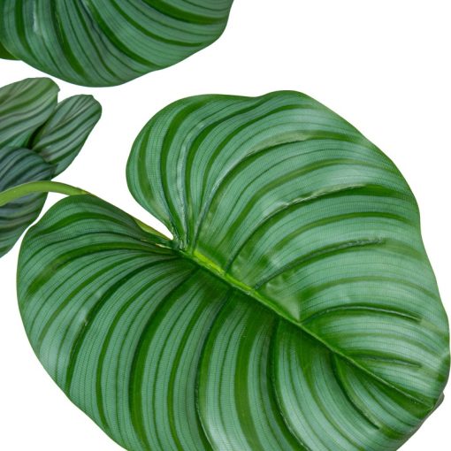 Planta Artificial Calathea Orbifolia 150cm-5 Troncos 150cm - Image 3