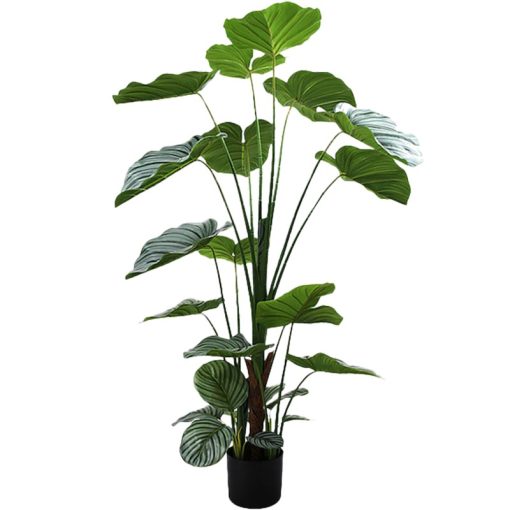 Planta Artificial Calathea Orbifolia 150cm-5 Troncos 150cm - Image 4