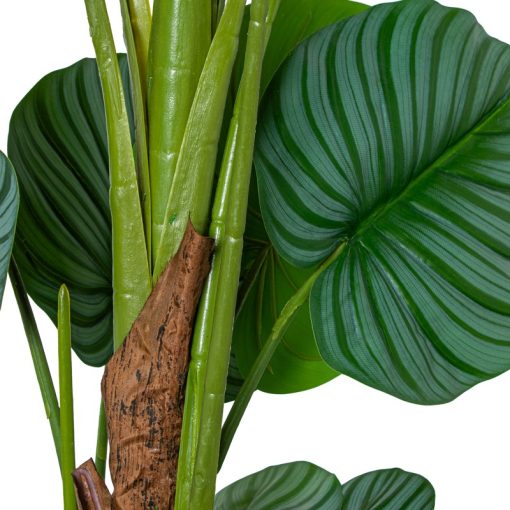 Planta Artificial Calathea Orbifolia 150cm-5 Troncos 150cm - Image 5
