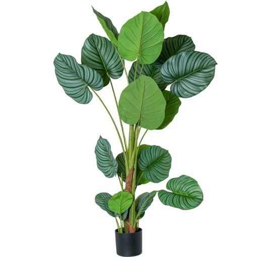 Planta Artificial Calathea Orbifolia 150cm-5 Troncos 150cm
