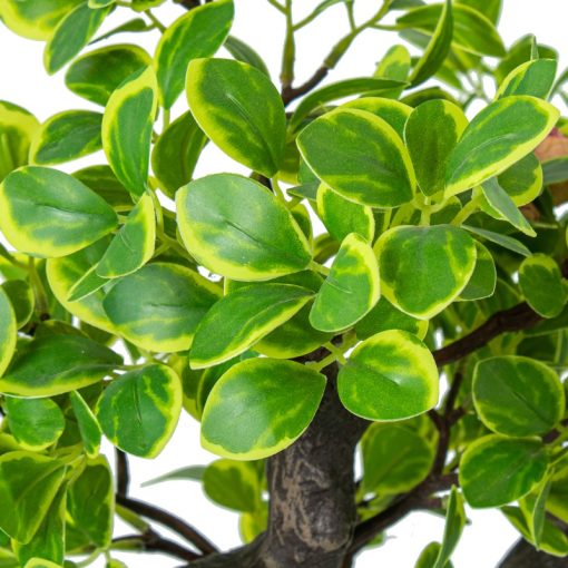 Planta Artificial Euonymus 45cm 45cm - Image 6