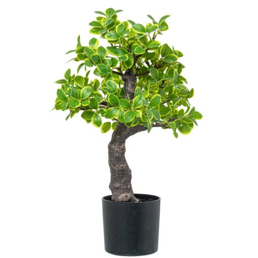 Planta Artificial Euonymus 45cm 45cm - Image 7