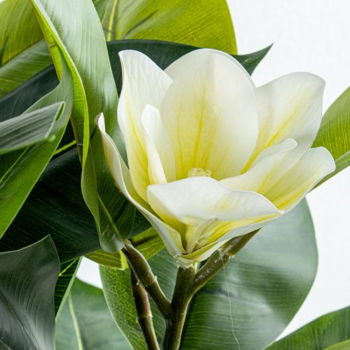Planta Artificial Magnolia 100cm 100cm - Image 5