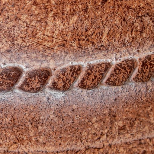 Vaso De Cerâmica Natural - Image 5
