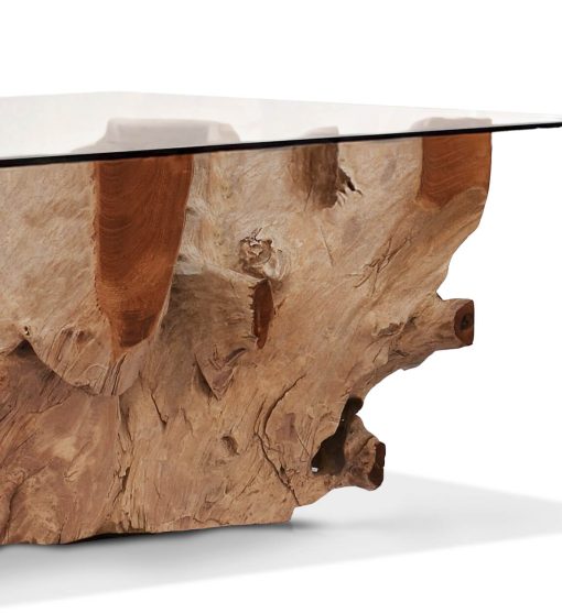 Mesa de centro em raiz de teca branqueada com vidro 120 x 75 x 45 - Image 5
